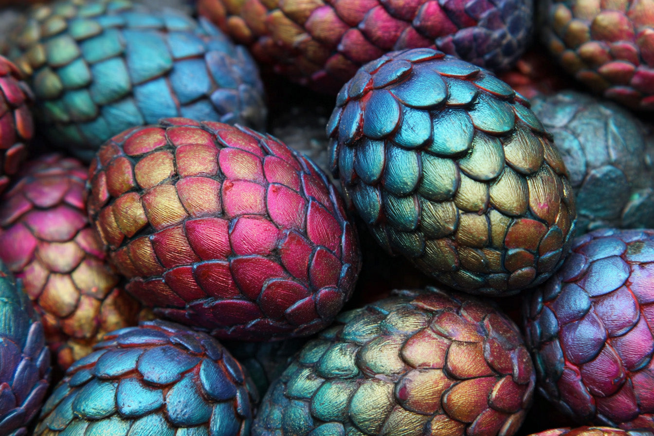 The Oracle's Dragon Egg